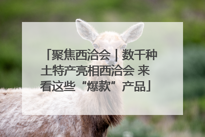 聚焦西洽会｜数千种土特产亮相西洽会 来看这些“爆款”产品