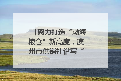 聚力打造“渤海粮仓”新高度，滨州市供销社谱写“三夏”丰收乐章