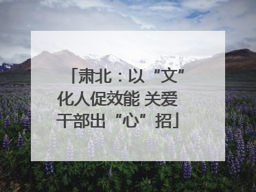 肃北：以“文”化人促效能 关爱干部出“心”招