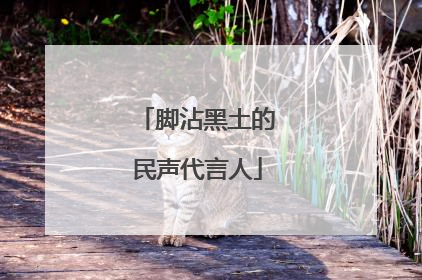 脚沾黑土的民声代言人