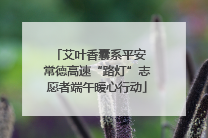 艾叶香囊系平安 常德高速“路灯”志愿者端午暖心行动