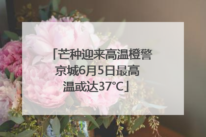 芒种迎来高温橙警 京城6月5日最高温或达37℃