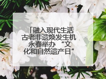 融入现代生活 古老非遗焕发生机 永春举办 “文化和自然遗产日” 非遗快闪活动