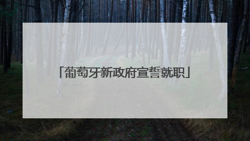 葡萄牙新政府宣誓就职