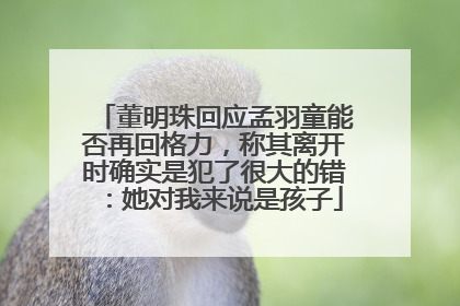 董明珠回应孟羽童能否再回格力，称其离开时确实是犯了很大的错：她对我来说是孩子