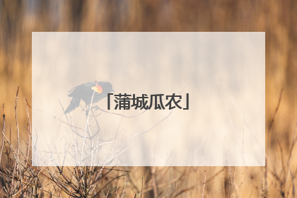 蒲城瓜农