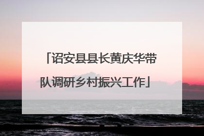 诏安县县长黄庆华带队调研乡村振兴工作