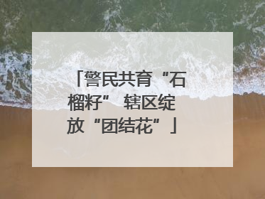 警民共育“石榴籽” 辖区绽放“团结花”