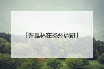 许昆林在扬州调研