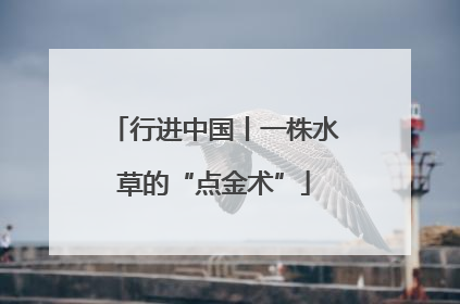 行进中国丨一株水草的“点金术”