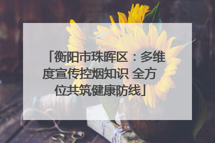 衡阳市珠晖区：多维度宣传控烟知识 全方位共筑健康防线