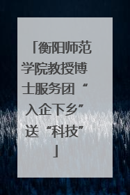 衡阳师范学院教授博士服务团“入企下乡”送“科技”