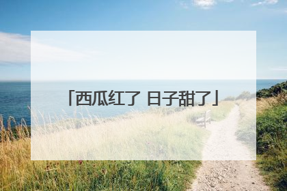 西瓜红了 日子甜了