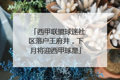 西甲联盟球迷社区落户王府井，下月将迎西甲球星