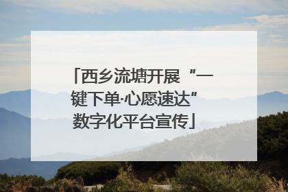 西乡流塘开展“一键下单·心愿速达”数字化平台宣传