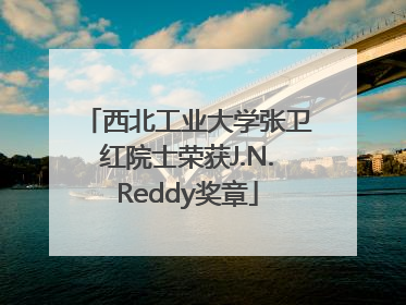 西北工业大学张卫红院士荣获J.N.Reddy奖章
