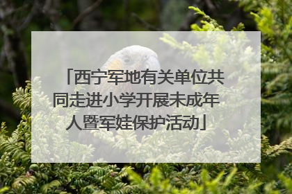 西宁军地有关单位共同走进小学开展未成年人暨军娃保护活动