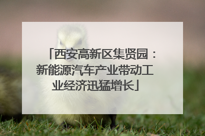 西安高新区集贤园：新能源汽车产业带动工业经济迅猛增长