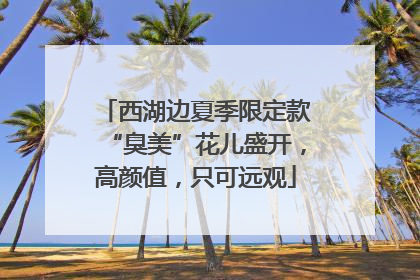 西湖边夏季限定款“臭美”花儿盛开，高颜值，只可远观