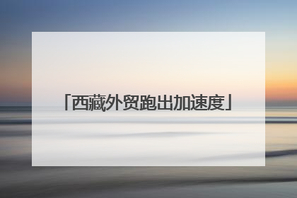 西藏外贸跑出加速度