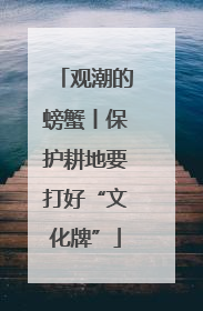 观潮的螃蟹丨保护耕地要打好“文化牌”