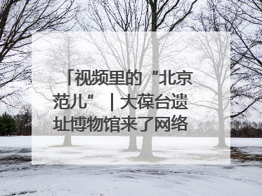 视频里的“北京范儿”｜大葆台遗址博物馆来了网络大V联盟