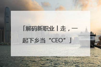 解码新职业丨走，一起下乡当“CEO”