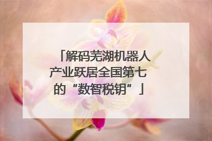 解码芜湖机器人产业跃居全国第七的“数智税钥”