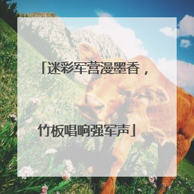 迷彩军营漫墨香，竹板唱响强军声