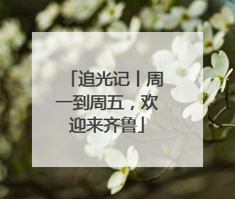 追光记丨周一到周五，欢迎来齐鲁