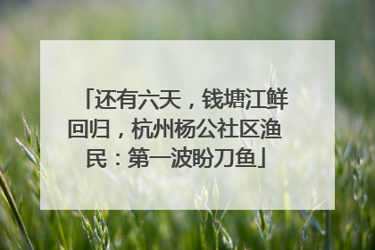 还有六天，钱塘江鲜回归，杭州杨公社区渔民：第一波盼刀鱼