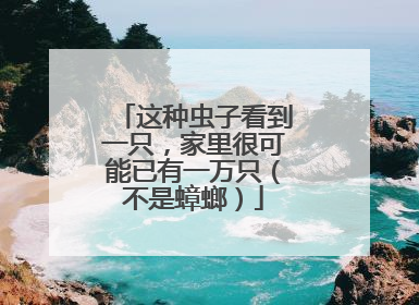 这种虫子看到一只，家里很可能已有一万只（不是蟑螂）