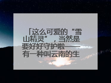 这么可爱的“雪山精灵”，当然是要好好守护啦——有一种叫云南的生活之365天