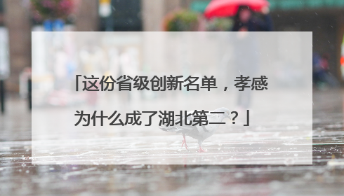 这份省级创新名单，孝感为什么成了湖北第二？