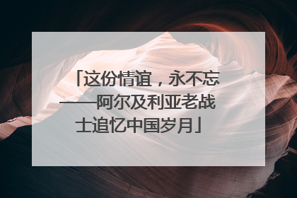 这份情谊，永不忘——阿尔及利亚老战士追忆中国岁月