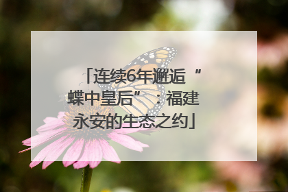 连续6年邂逅“蝶中皇后”：福建永安的生态之约
