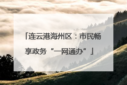 连云港海州区：市民畅享政务“一网通办”
