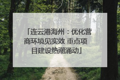 连云港海州：优化营商环境见实效 重点项目建设热潮涌动