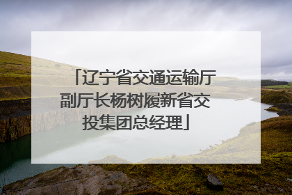 辽宁省交通运输厅副厅长杨树履新省交投集团总经理