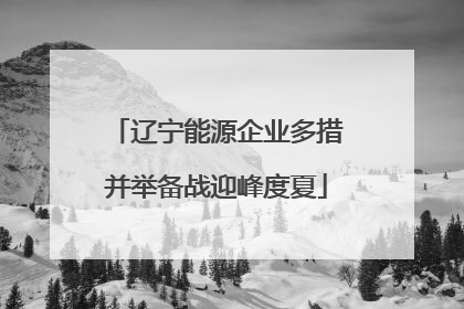 辽宁能源企业多措并举备战迎峰度夏