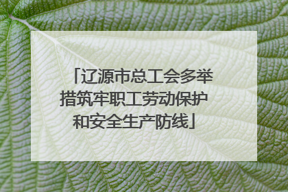 辽源市总工会多举措筑牢职工劳动保护和安全生产防线