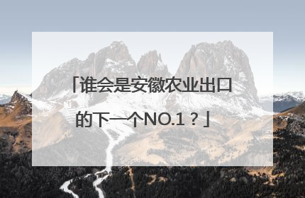 谁会是安徽农业出口的下一个NO.1？