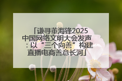 谦寻董海锋2025中国网络文明大会发声：以“三个向善”构建直播电商善意长河