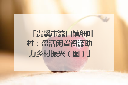 贵溪市流口镇细叶村：盘活闲置资源助力乡村振兴（图）