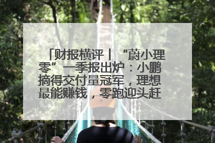 财报横评丨“蔚小理零”一季报出炉：小鹏摘得交付量冠军，理想最能赚钱，零跑迎头赶上，蔚来还在调整