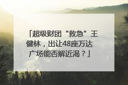 超级财团“救急”王健林，出让48座万达广场能否解近渴？