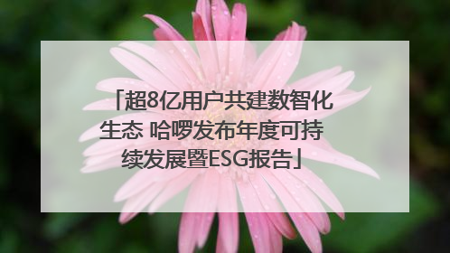 超8亿用户共建数智化生态 哈啰发布年度可持续发展暨ESG报告
