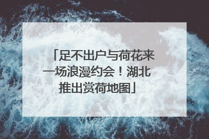 足不出户与荷花来一场浪漫约会！湖北推出赏荷地图