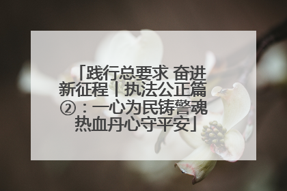 践行总要求 奋进新征程丨执法公正篇②：一心为民铸警魂 热血丹心守平安