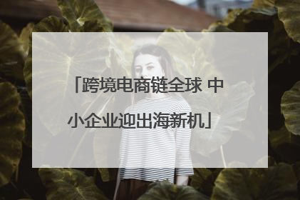 跨境电商链全球 中小企业迎出海新机